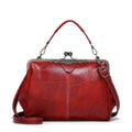 Vintage Clip Handle Bag